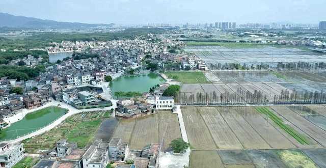 從長沙街道西溪村上空俯瞰，遠處青山疊翠、高樓聳立，近處屋舍儼然，池塘星羅棋布，農(nóng)田成方連片